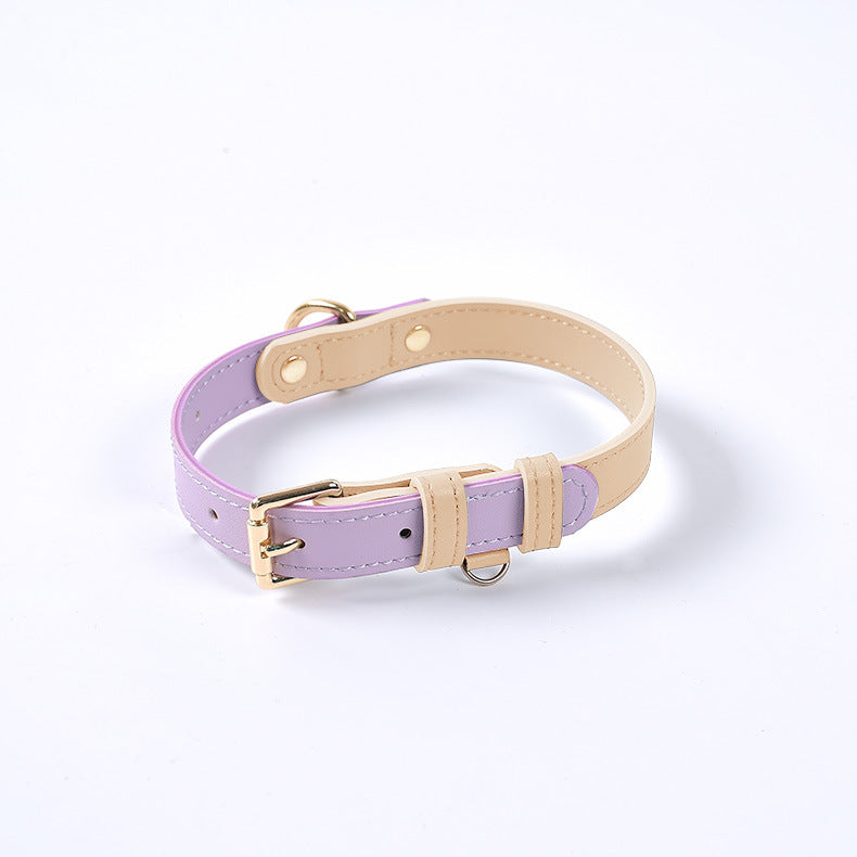 Collier violet pour chien avec boucle et anneau dorés