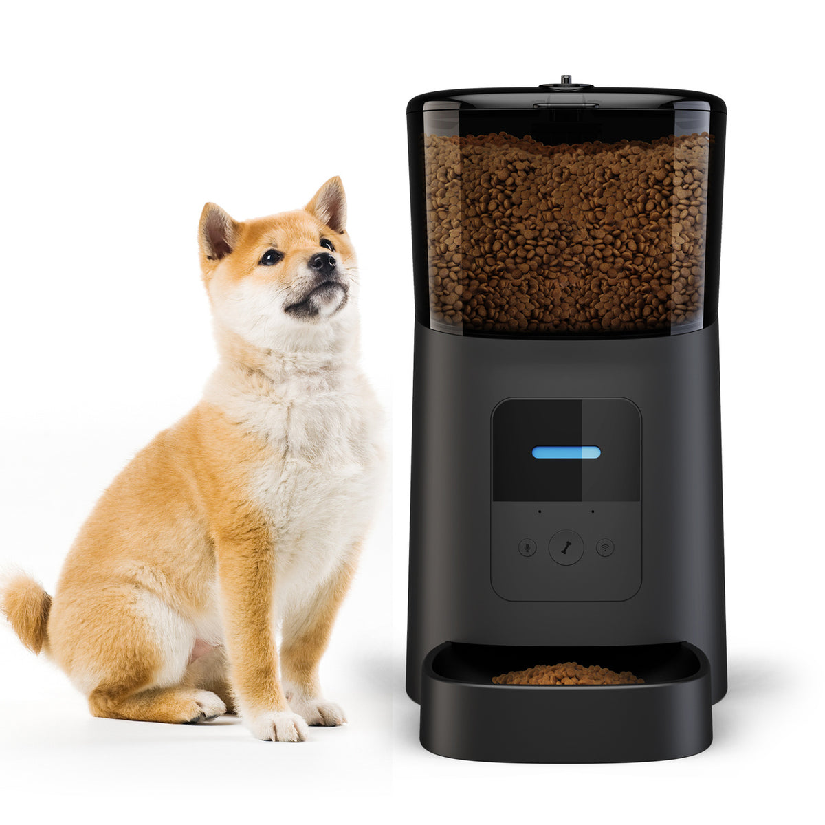 Chat à côté d’un distributeur automatique de croquettes noir