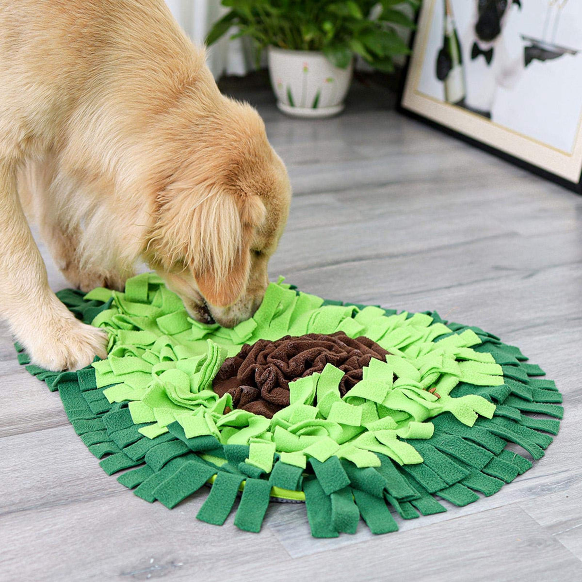 Chien utilisant un tapis de fouille vert en forme d’avocat