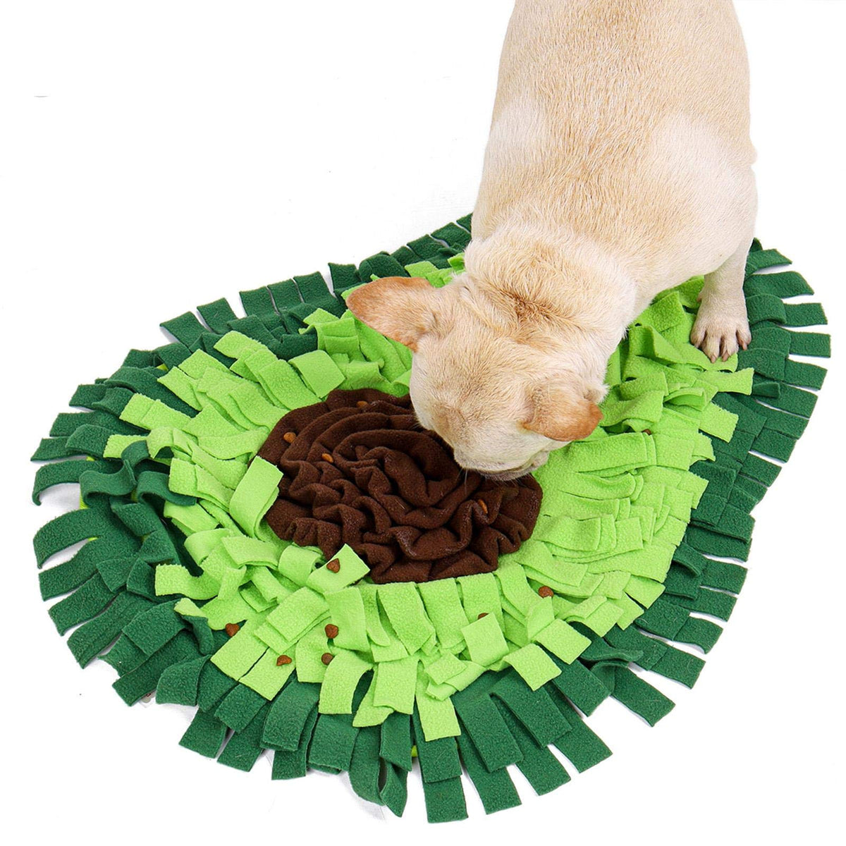 Petit chien cherchant dans les replis du tapis de fouille vert