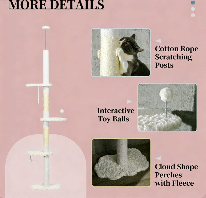 Détails des poteaux à griffer, balles et plateformes nuage