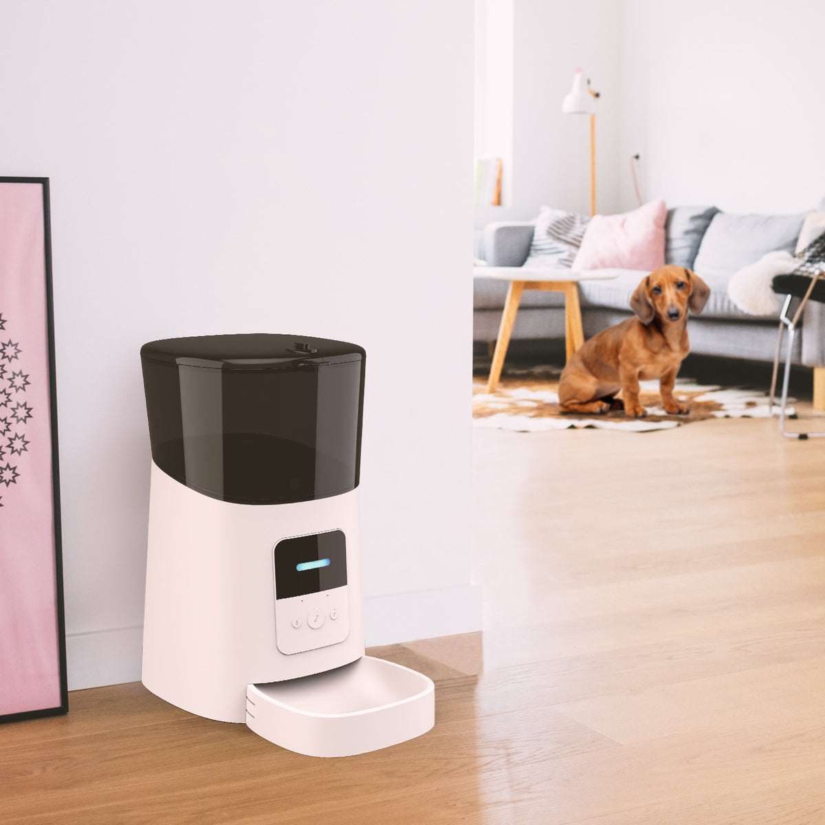 Distributeur de croquettes blanc installé dans un intérieur avec un chien