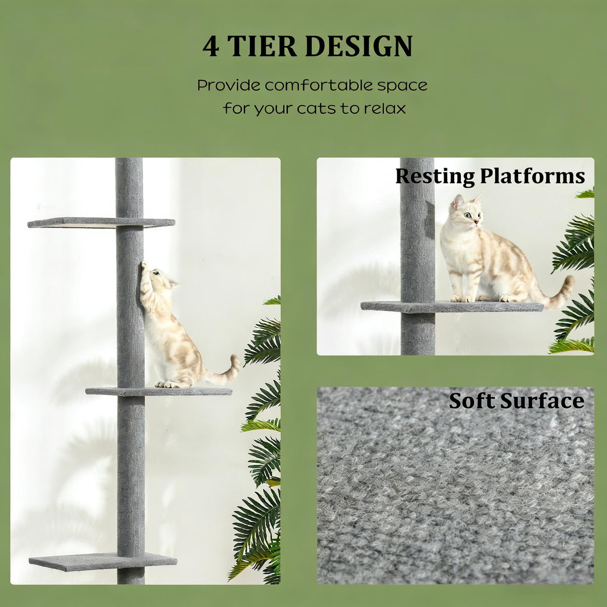 Présentation des plateformes et du revêtement de l’arbre à chat gris