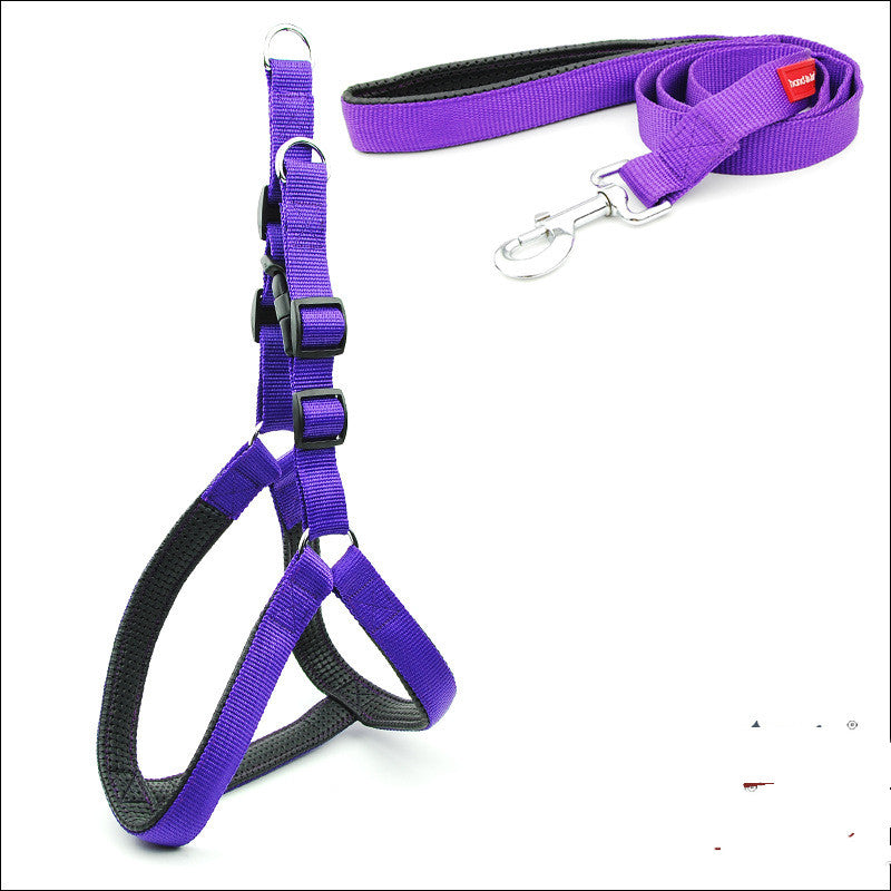 Harnais violet rembourré en nylon avec laisse assortie pour chien