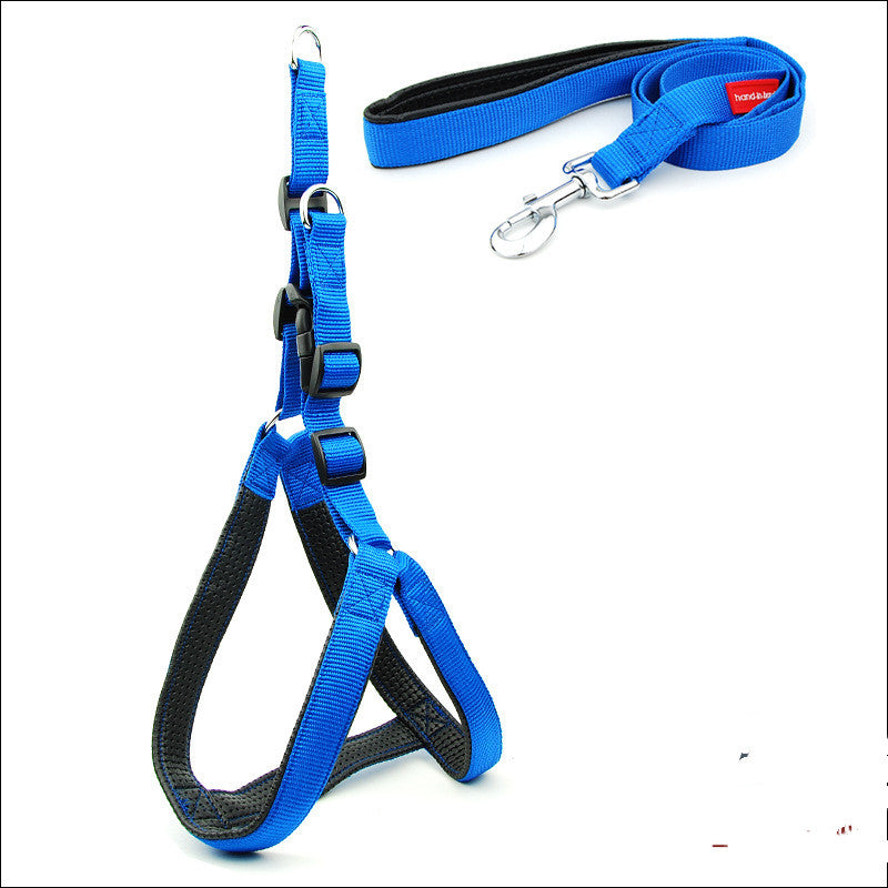 Harnais bleu rembourré en nylon avec laisse assortie pour chien