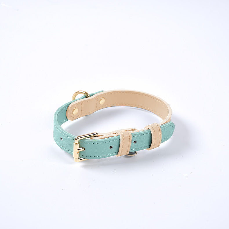 Collier vert menthe pour chien avec boucle et anneau dorés
