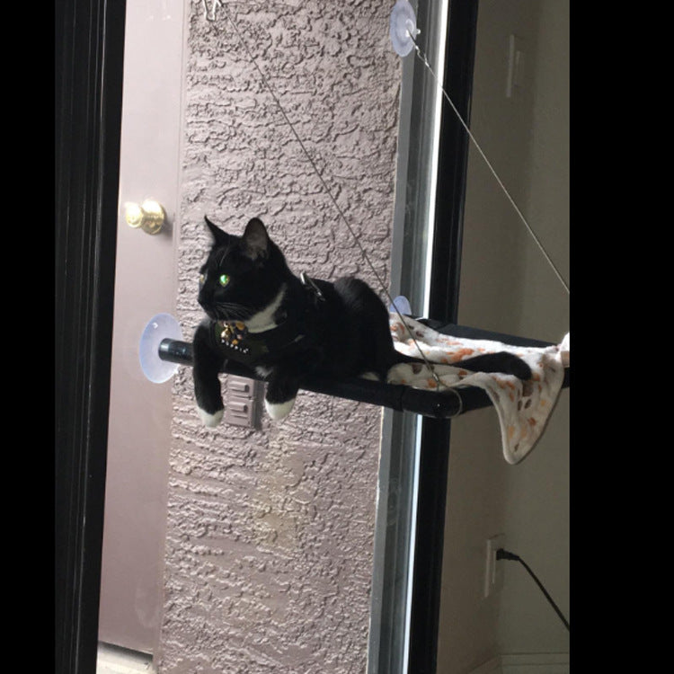 Chat noir installé sur un hamac fixé à une vitre