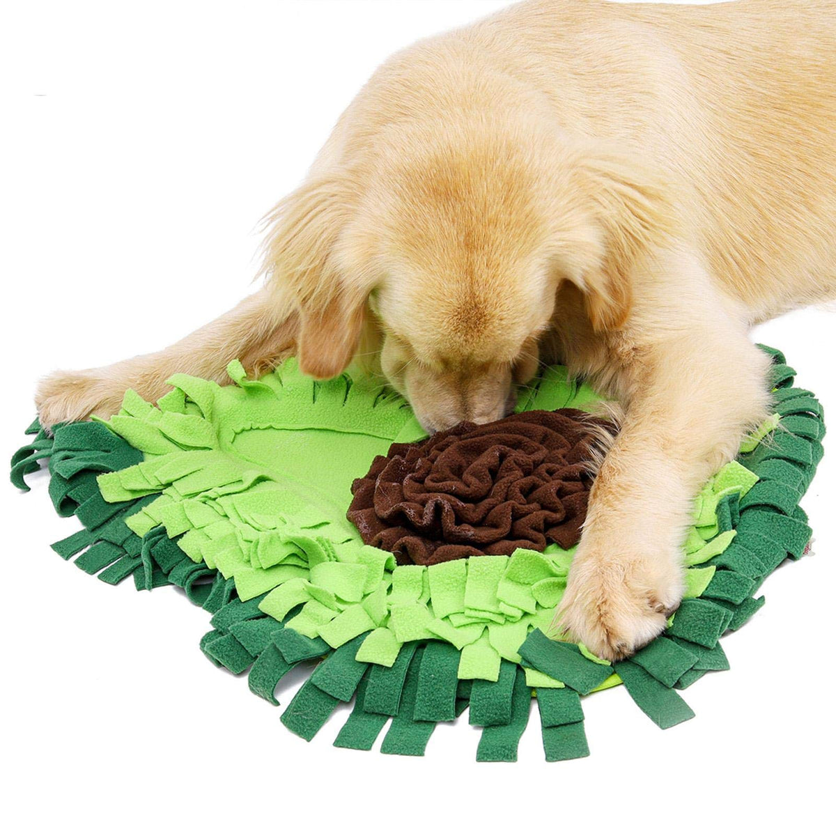 Golden retriever utilisant le tapis de fouille en polaire