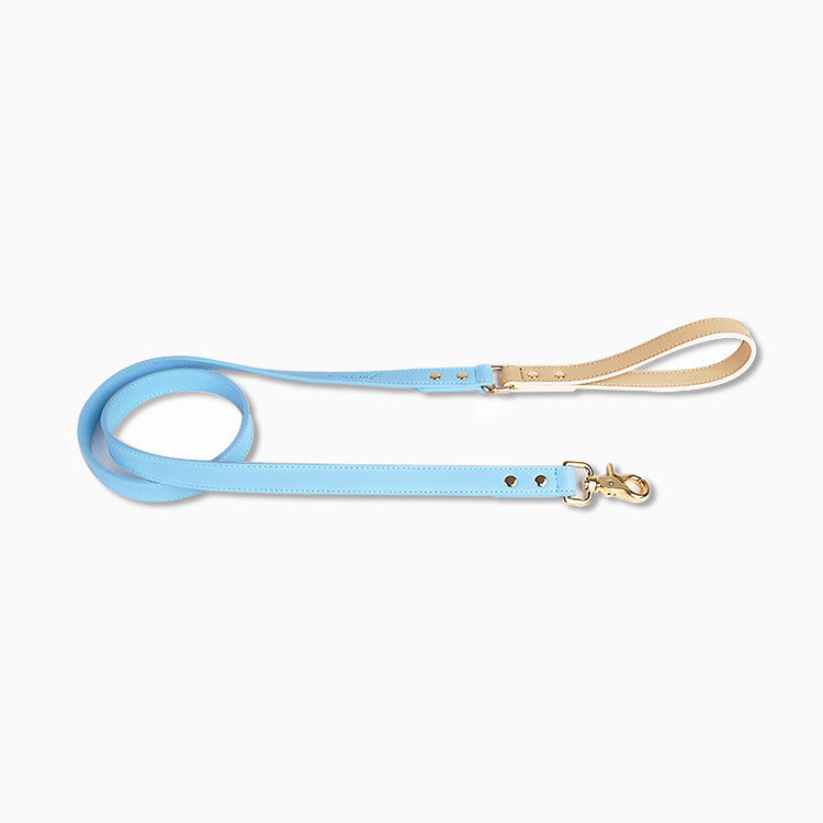 Laisse bleue pour chien avec poignée beige et mousqueton