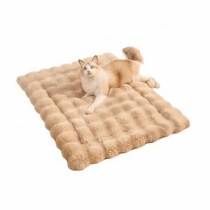 258bc30724cc60bf8e51f5d8a97efffc