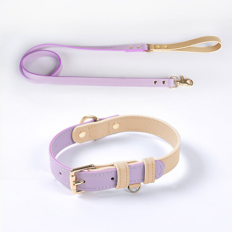 Vue de l’ensemble collier et laisse violet pour chien