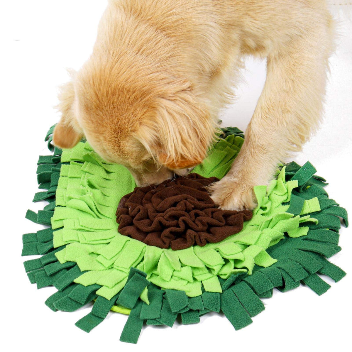 Tapis de fouille vert présenté avec un chien