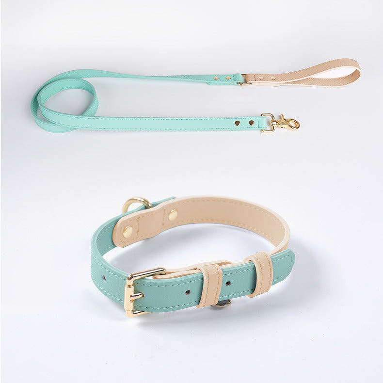 Vue de l’ensemble collier et laisse vert menthe pour chien