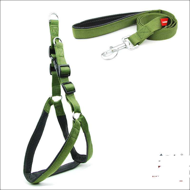 Harnais vert rembourré en nylon avec laisse assortie pour chien