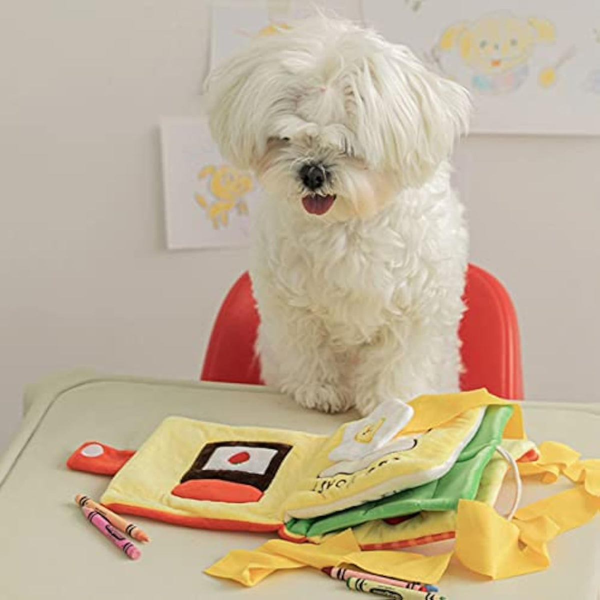 Livre de fouille ouvert devant un petit chien