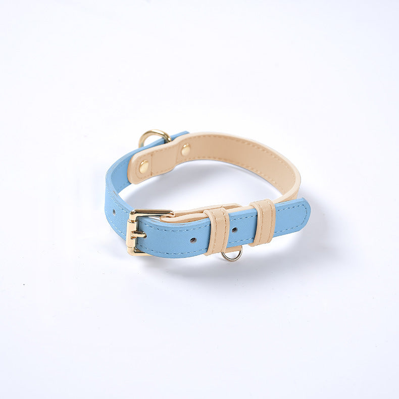 Collier bleu pour chien avec boucle et anneau dorés