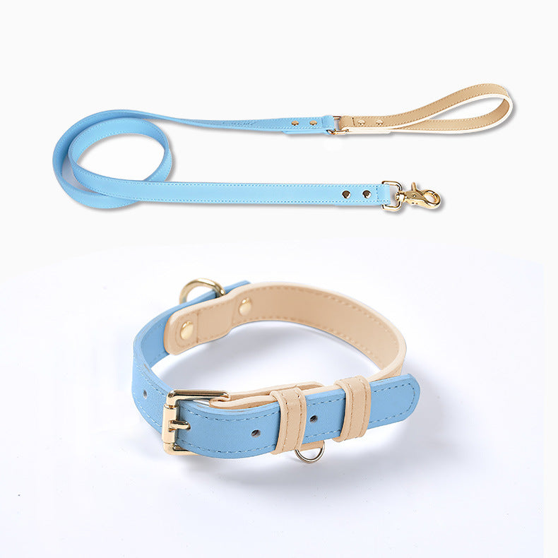 Vue de l’ensemble collier et laisse bleu pour chien