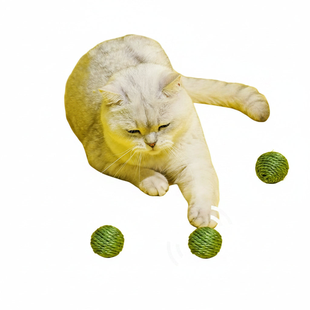 9ec5fc9e39c9efb75c77867598e05c91